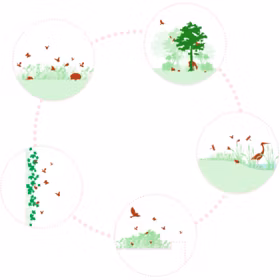 Turmschanzenstrasse Okologie