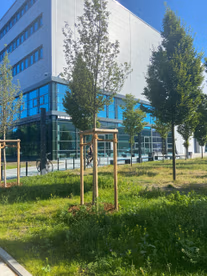 Ensphere Zal Iii Angewandte Luftfahrtforschung Frontansicht