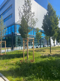 Ensphere Zal Iii Angewandte Luftfahrtforschung Frontansicht